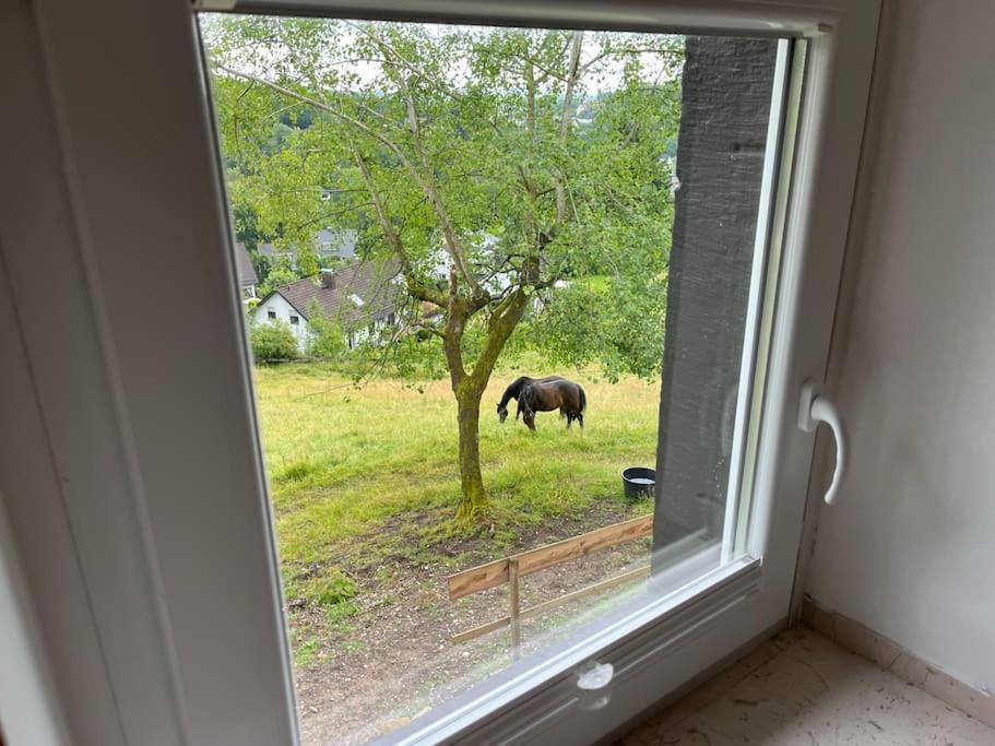 Altes Bauernhaus In Der Natur Detmold Eksteriør billede
