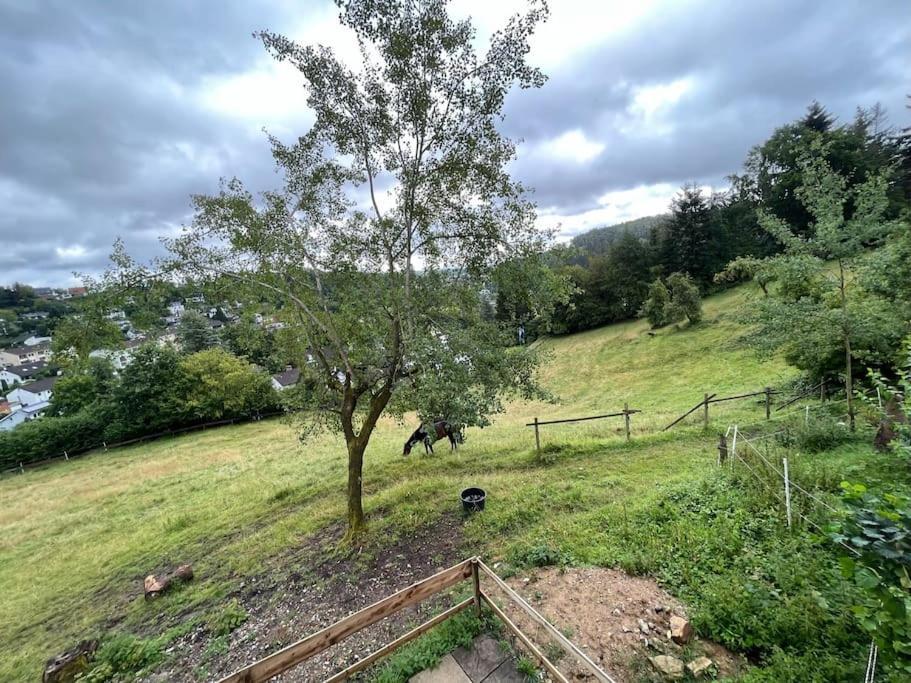 Altes Bauernhaus In Der Natur Detmold Eksteriør billede